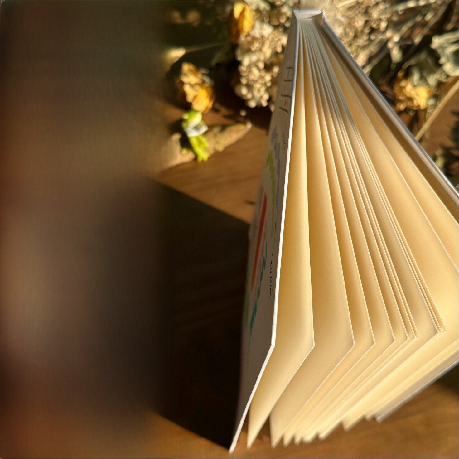 Carnet à couverture rigide des - Journal Leather Hardcover avis et prix
